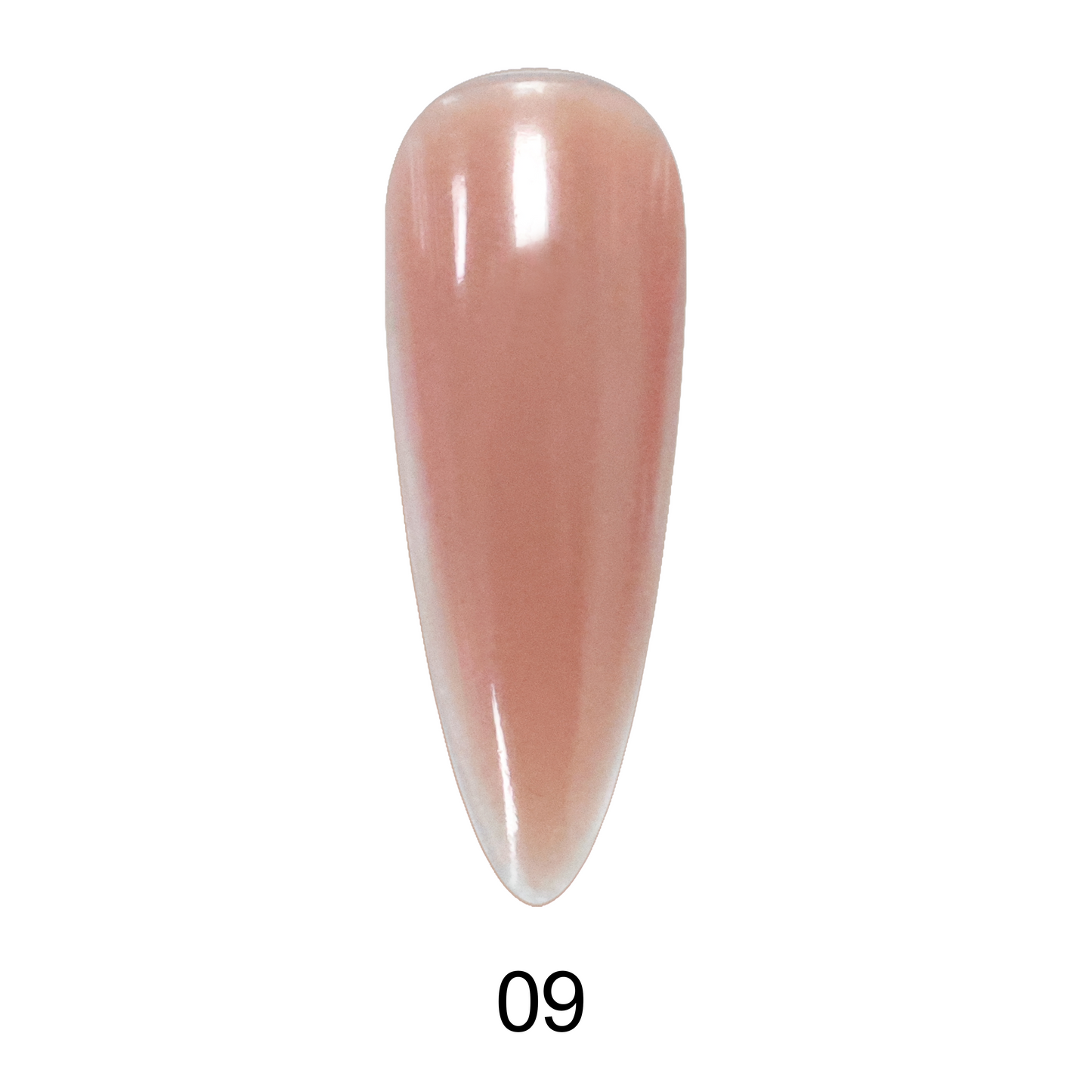 Simple Coloured Builder Gel 36 Colours