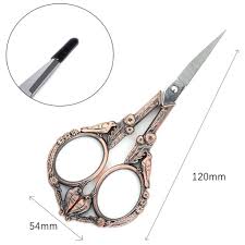 Scissor Stainless Steel